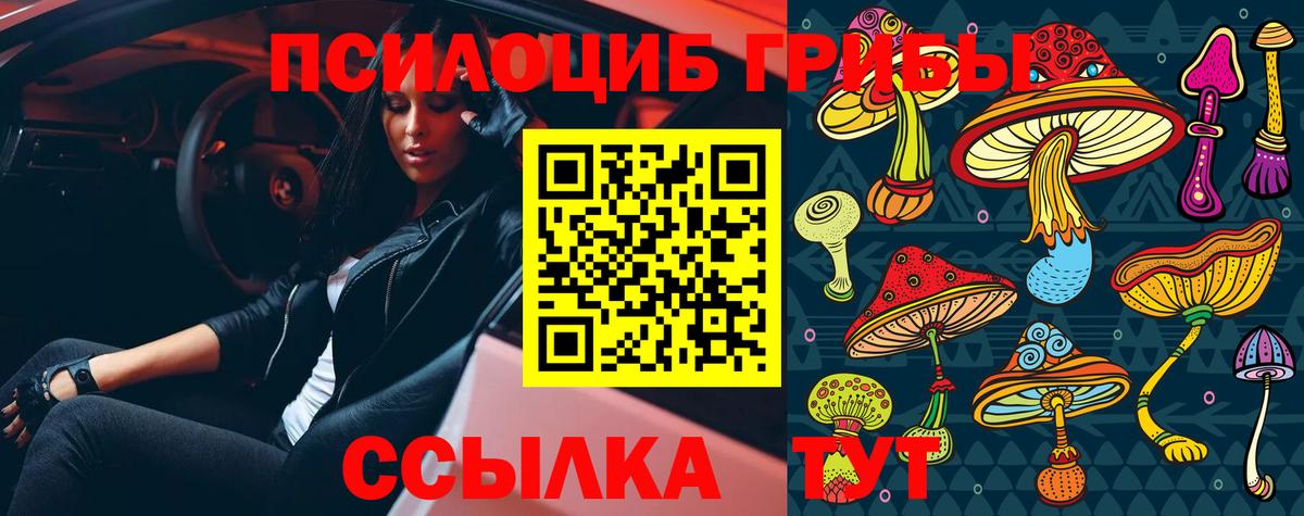 как найти   Вход с VPN  Кохма  Галлюциногенные грибы GOLDEN TEACHER 